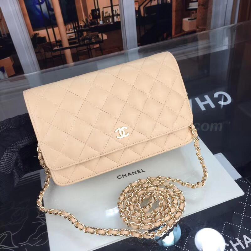 Chanel Handbags 216